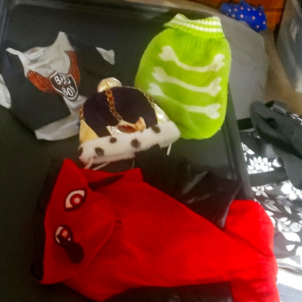 Dog Clothes